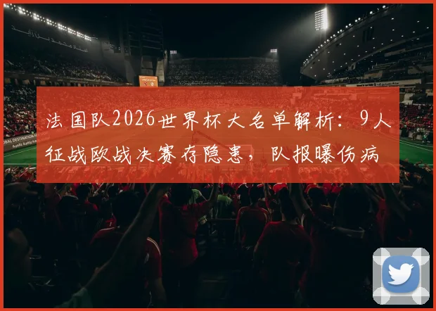 法国队2026世界杯大名单解析：9人征战欧战决赛存隐患，队报曝伤病问题影响备战