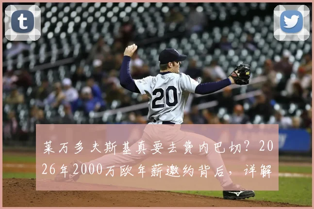 莱万多夫斯基真要去费内巴切？2026年2000万欧年薪邀约背后，详解候选人、可行性与最新进展